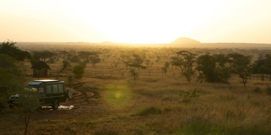 Ikoma Wild Camp in Tanzania