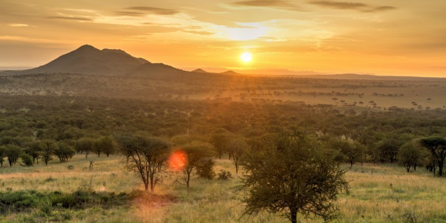 Sun in Serengeti