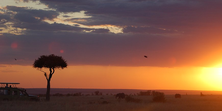 Masai Mara view