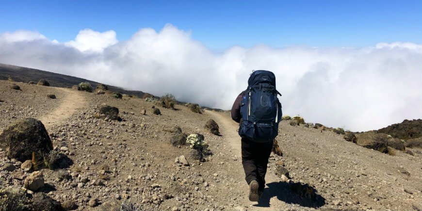 Hiking on kilimanjaro